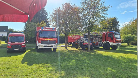 Fahrzeugausstellung im Park